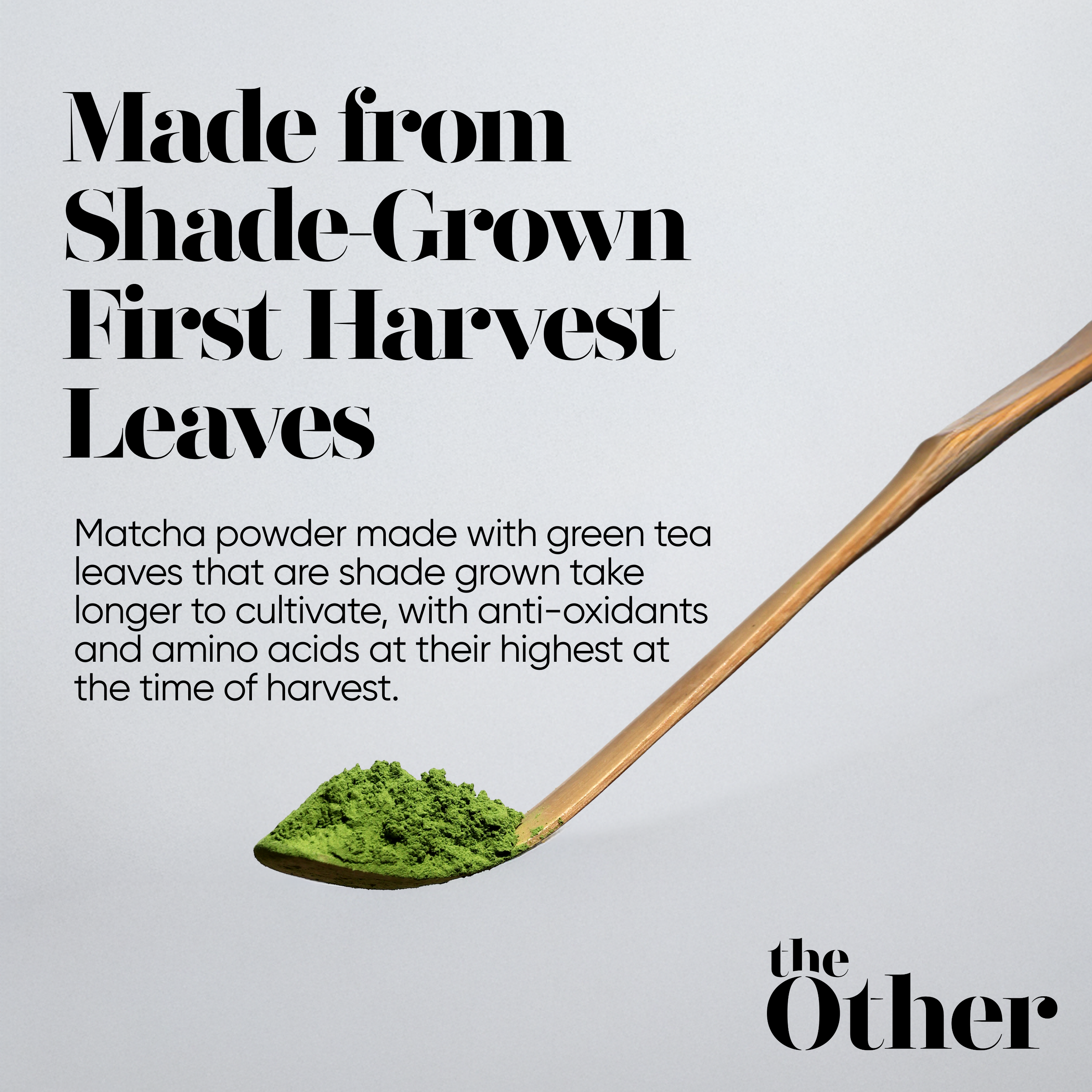 TheOther First Harvest Matcha Powder, Master's Blend